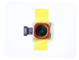 Oneplus Camera Module - 1011100084 4907929 Rear Main Camera Op Nord2 5g