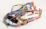 Harness - 12008687 Cable Harness [Bosch Siemens]