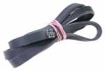 Drive Belts - 5pje1281 1022183 Splined 5pje1281 [Amica]