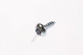 Samsung Screw - 6009-001343 Screw-special Ph Torx M4 L10 Pass